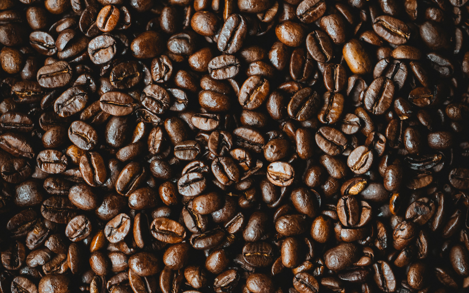 een grote groep vlinders