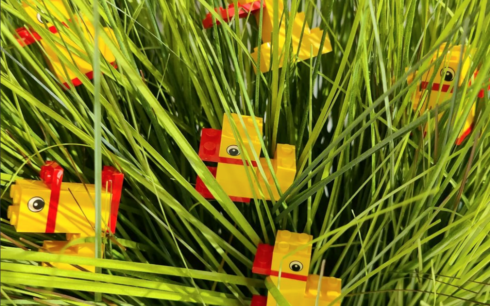 een groep speelgoed in een boom